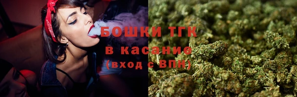 ПСИЛОЦИБИНОВЫЕ ГРИБЫ Костерёво