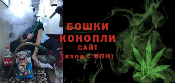 ПСИЛОЦИБИНОВЫЕ ГРИБЫ Костерёво