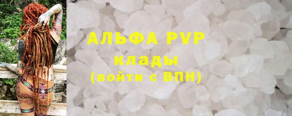 ПСИЛОЦИБИНОВЫЕ ГРИБЫ Костерёво