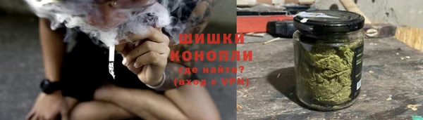 ПСИЛОЦИБИНОВЫЕ ГРИБЫ Костерёво