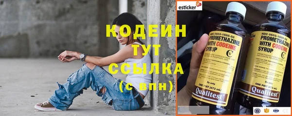 ПСИЛОЦИБИНОВЫЕ ГРИБЫ Костерёво