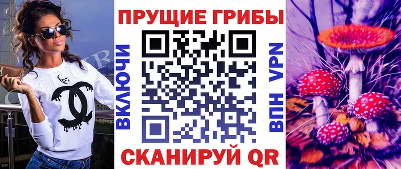 Купить где Биробиджан Галлюциногенные грибы ЛСД