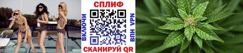 Купить закладки  Биробиджан  Конопля марихуана 